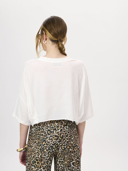 MOA TOP