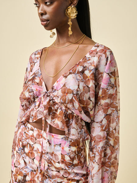 BEGONIA TOP